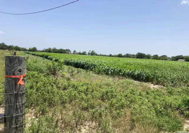 5th image of 000 County Road 4522, Hondo, TX 78861 | MLS# 1996646