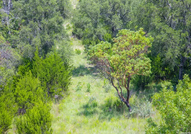 Homes for sale in Pipe Creek, TX | 000 Blackbuck Trail, Pipe Creek, TX 78063 | MLS# 1996663
