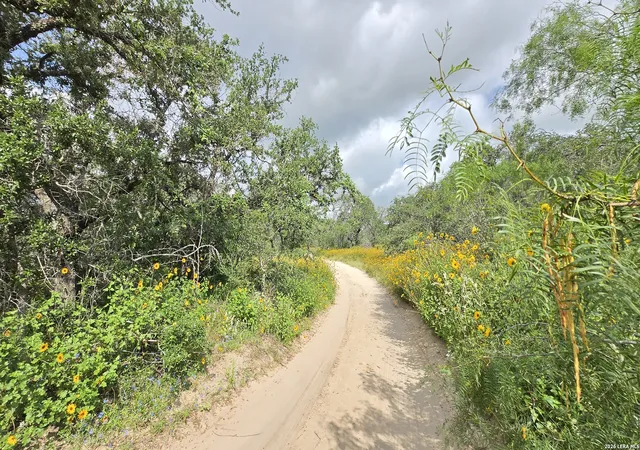 3rd image of 289 Zigmond Rd, Poteet, TX 78065 | MLS# 1996697
