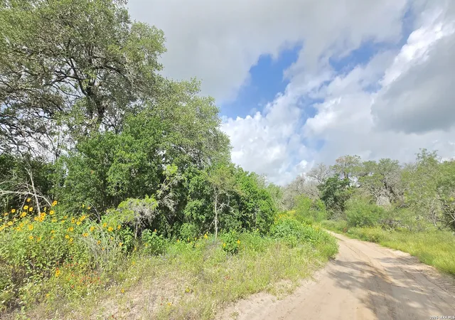 4th image of 289 Zigmond Rd, Poteet, TX 78065 | MLS# 1996697