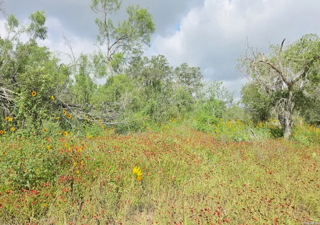 5th image of 289 Zigmond Rd, Poteet, TX 78065 | MLS# 1996697