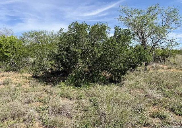 Homes for sale in George West, TX | 0 County Road 147, George West, TX 78022 | MLS# 1996730