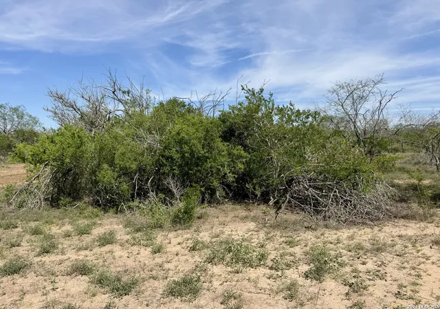 Homes for sale in George West, TX | 0 County Road 147, George West, TX 78022 | MLS# 1996730