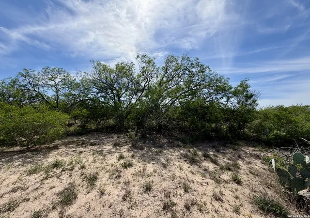 Homes for sale in George West, TX | 0 County Road 147, George West, TX 78022 | MLS# 1996730
