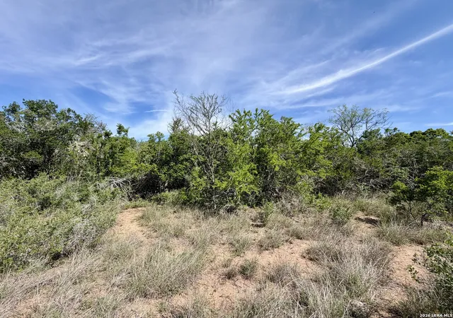 Homes for sale in George West, TX | 0 County Road 147, George West, TX 78022 | MLS# 1996730