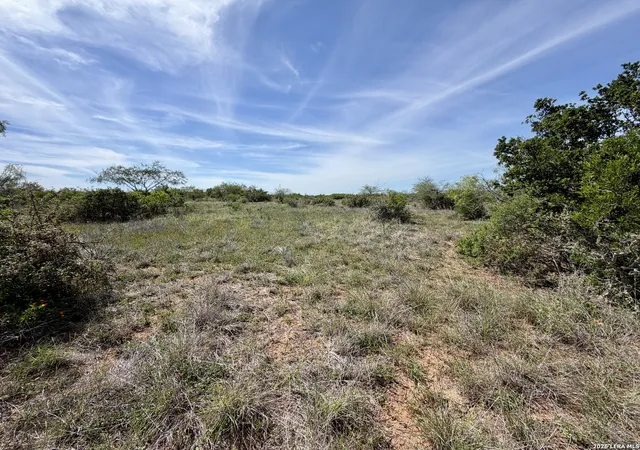 Homes for sale in George West, TX | 0 County Road 147, George West, TX 78022 | MLS# 1996730