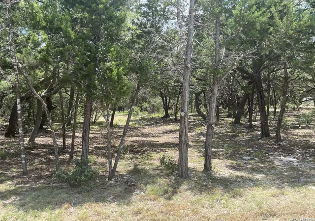 Photo 2 of Land for sale at 254 Flanders, Fischer, TX 78623 | MLS# 1996773 | Listing updated on 2026-07-12
