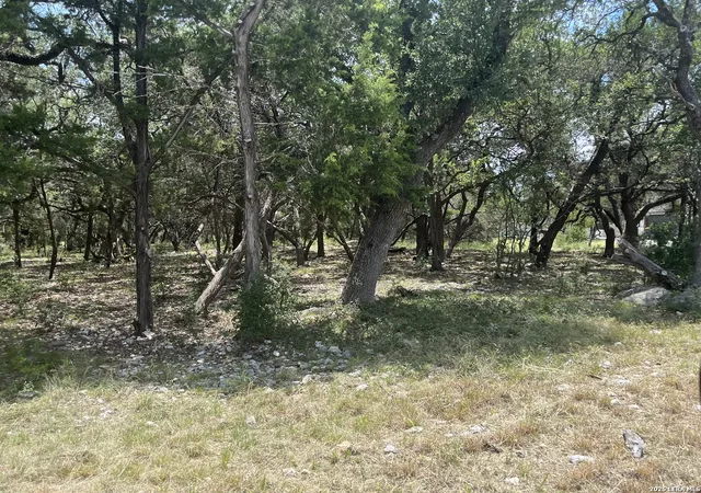 Photo 3 of Land for sale at 254 Flanders, Fischer, TX 78623 | MLS# 1996773 | Listing updated on 2026-07-12