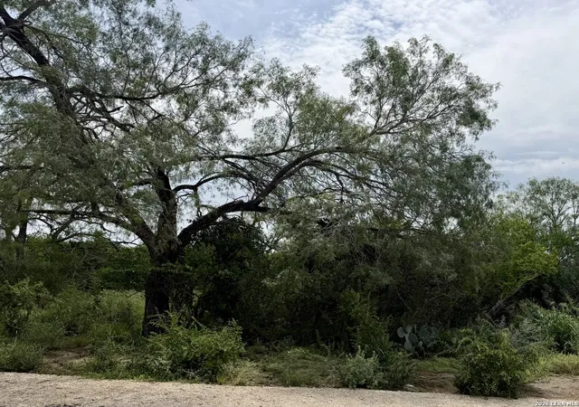 5th image of 2018 Strawberry City Rd, Poteet, TX 78065 | MLS# 1996796