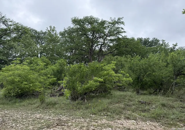 2nd image of 261 River Dr, Rio Frio, TX 78879 | MLS# 1996975