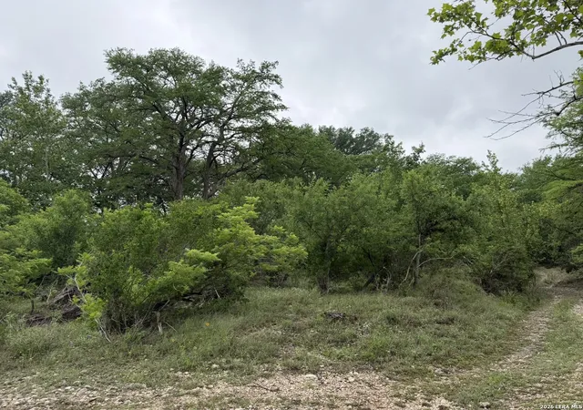3rd image of 261 River Dr, Rio Frio, TX 78879 | MLS# 1996975