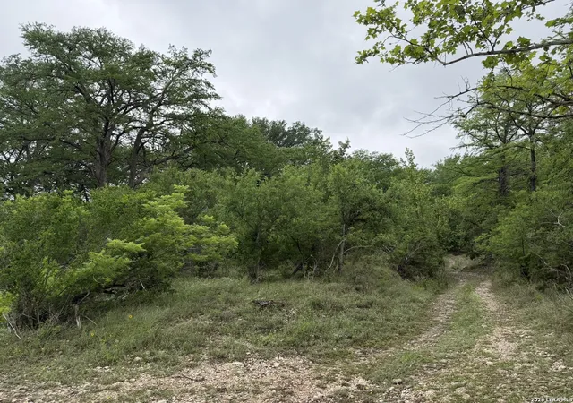4th image of 261 River Dr, Rio Frio, TX 78879 | MLS# 1996975