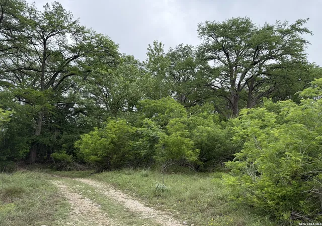5th image of 261 River Dr, Rio Frio, TX 78879 | MLS# 1996975