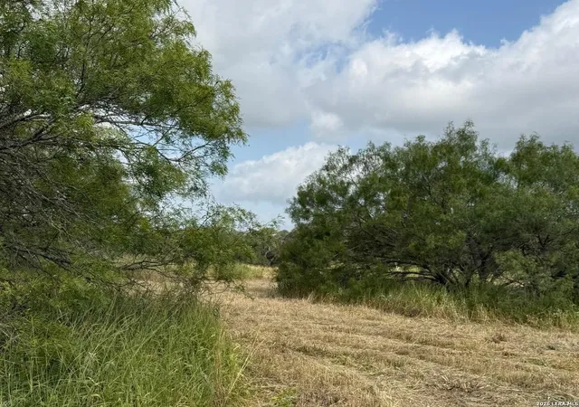 5th image of 585 County Road 768, Devine, TX 78016 | MLS# 1997074