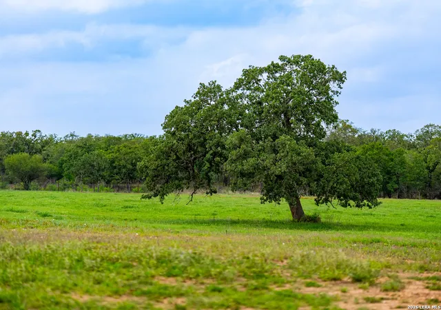 50th image of 3350 Fm 1104, Kingsbury, TX 78638 | MLS# 1997095