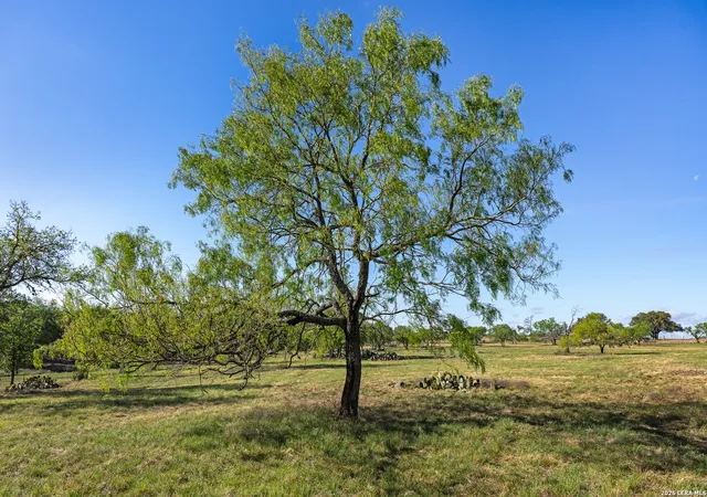 24th image of 0016 Clearwater, Boerne, TX 78006 | MLS# 1997414