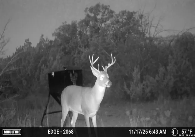 5th image of Tbd Sd 45730, Rocksprings, TX 78880 | MLS# 1997449