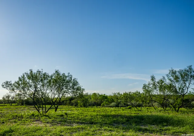 Photo 2 of Land for sale at 111 Los Lomas Ranch Road, Freer, TX 78357 | MLS# 1997459 | Listing updated on 2026-07-14