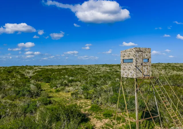 Photo 4 of House for sale at 111 Los Lomas Ranch Road, Freer, TX 78357 | MLS# 1997459 | Listing updated on 2026-07-14