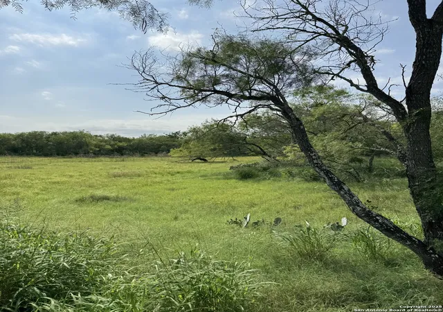 3rd image of Tbd E Gates Valley, Poteet, TX 78065 | MLS# 1997561