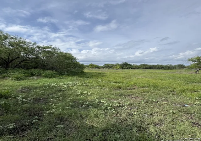 4th image of Tbd E Gates Valley, Poteet, TX 78065 | MLS# 1997561