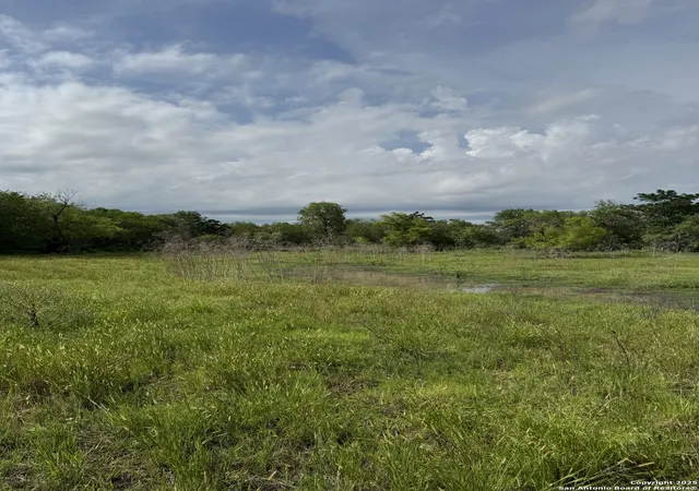 5th image of Tbd E Gates Valley, Poteet, TX 78065 | MLS# 1997561