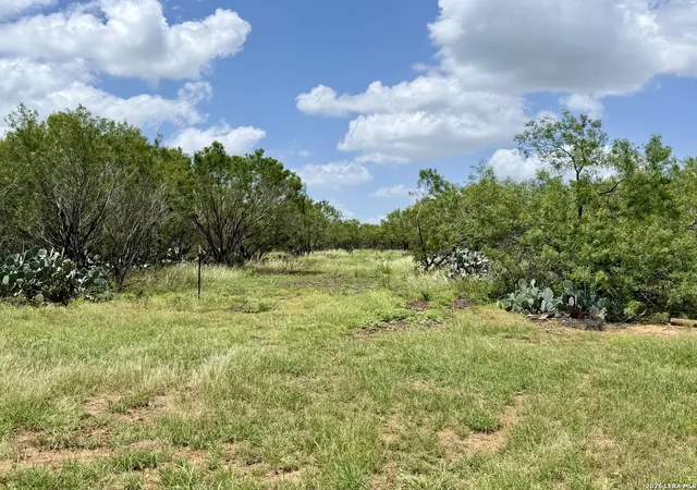 Homes for sale in Charlotte, TX | 2253 County Road 332, Charlotte, TX 78011 | MLS# 1997573