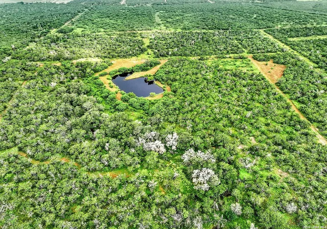 Photo 3 of Land for sale at 1591 County Road 476, Stockdale, TX 78160 | MLS# 1997696 | Listing updated on 2026-09-04