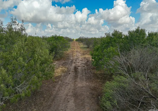 Homes for sale in Kenedy, TX | 1629+/- Acres County Road 158, Kenedy, TX 78119 | MLS# 1997761