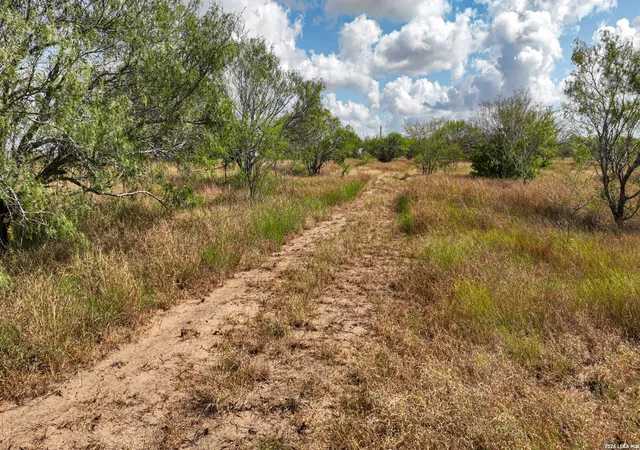 Homes for sale in Kenedy, TX | 1629+/- Acres County Road 158, Kenedy, TX 78119 | MLS# 1997761