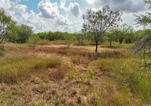 Homes for sale in Kenedy, TX | 1629+/- Acres County Road 158, Kenedy, TX 78119 | MLS# 1997761