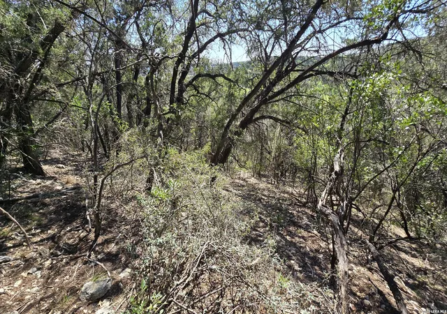 Homes for sale in Lakehills, TX | Tbd Doe Trail, Lakehills, TX 78063 | MLS# 1997764