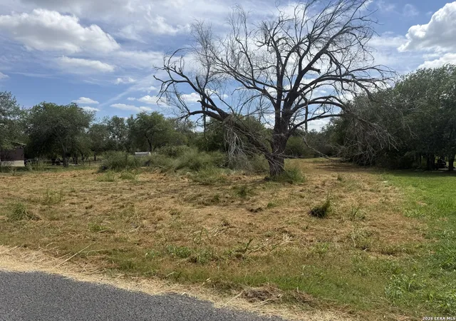 Homes for sale in Poth, TX | 810 Shenandoah St, Poth, TX 78147 | MLS# 1997961