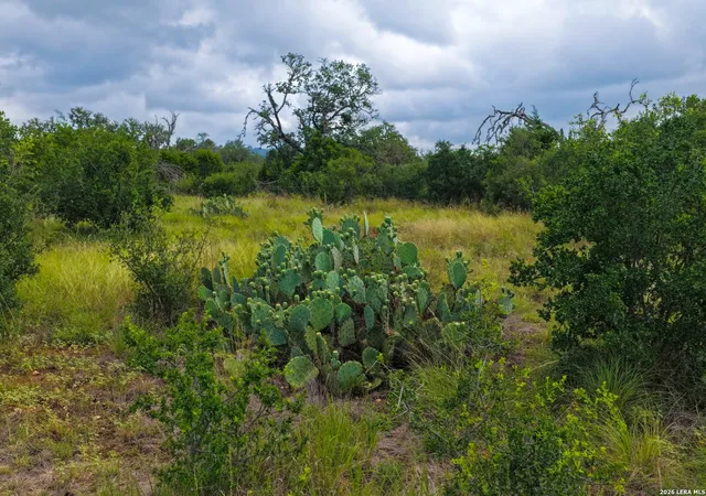 4th image of 30 Acres +/- Peaceful Valley Rd, Bandera, TX 78003 | MLS# 1998058
