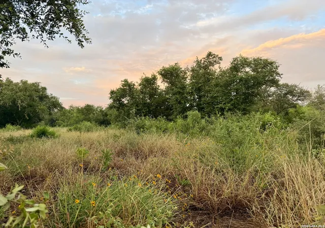 Homes for sale in D'hanis, TX | Lot 37 Utopia Oaks, D'hanis, TX 78850 | MLS# 1998175