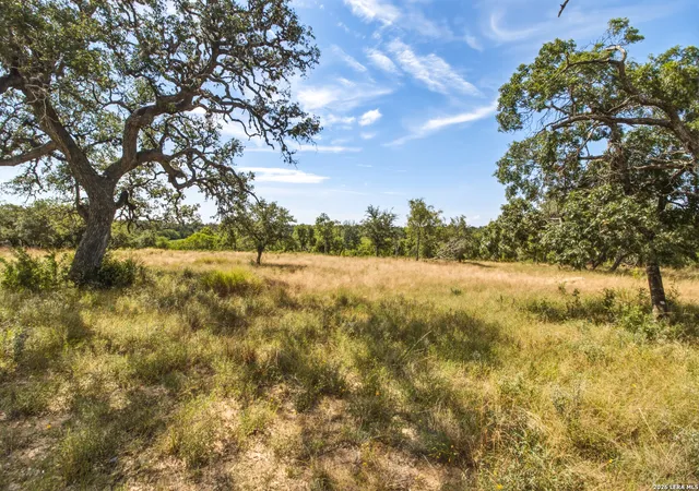 38th image of 1256 Benton Creek Rd, Medina, TX 78055 | MLS# 1998212