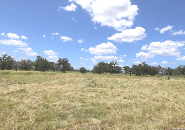 3rd image of 219 County Road 331, Floresville, TX 78114 | MLS# 1998284