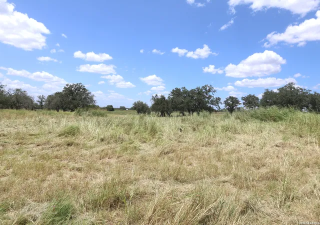 5th image of 219 County Road 331, Floresville, TX 78114 | MLS# 1998284