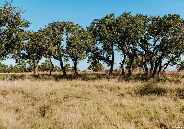 Homes for sale in Fredericksburg, TX | Tbd Brecken Ranch Rd, Fredericksburg, TX 78671 | MLS# 1998371