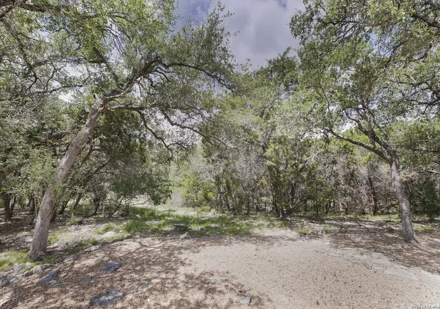 Homes for sale in Bulverde, TX | 3009 Fallbrook Manor, Bulverde, TX 78163 | MLS# 1998439