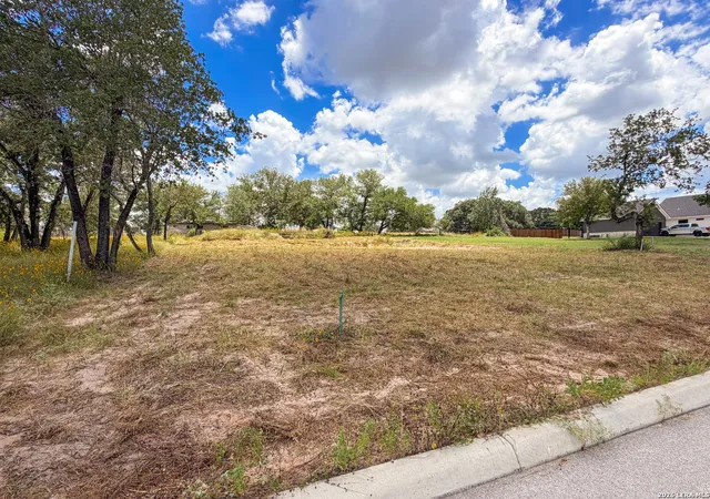 Homes for sale in La Vernia, TX | 165 Ash Parkway, La Vernia, TX 78121 | MLS# 1998451