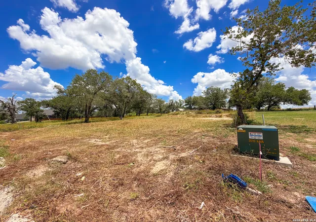 Homes for sale in La Vernia, TX | 165 Ash Parkway, La Vernia, TX 78121 | MLS# 1998451