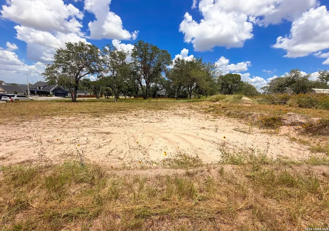 Homes for sale in La Vernia, TX | 165 Ash Parkway, La Vernia, TX 78121 | MLS# 1998451