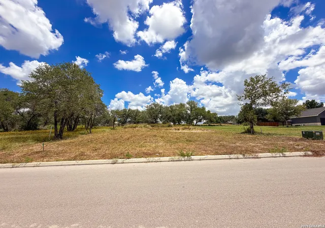 Homes for sale in La Vernia, TX | 165 Ash Parkway, La Vernia, TX 78121 | MLS# 1998451