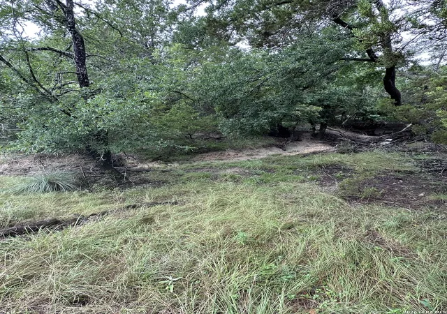 35th image of 393 Us Hwy 87, Comfort, TX 78013 | MLS# 1998924