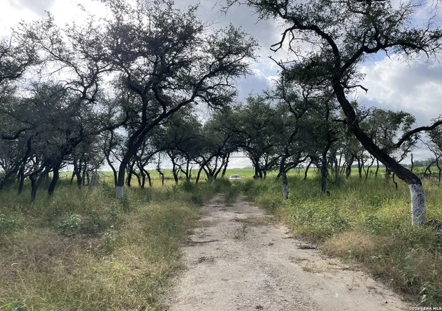 12th image of 1742 County Road 777, Devine, TX 78016 | MLS# 1998976
