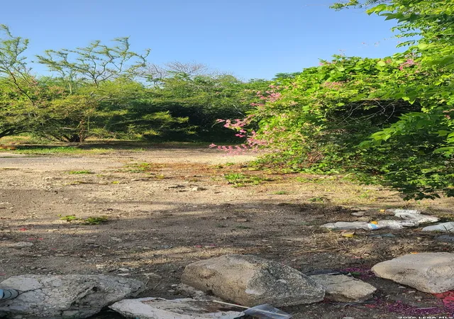 Photo 1 of Land for sale at 2219 W Martin St, San Antonio, TX 78207 | MLS# 1999072 | Listing updated on 2026-07-20