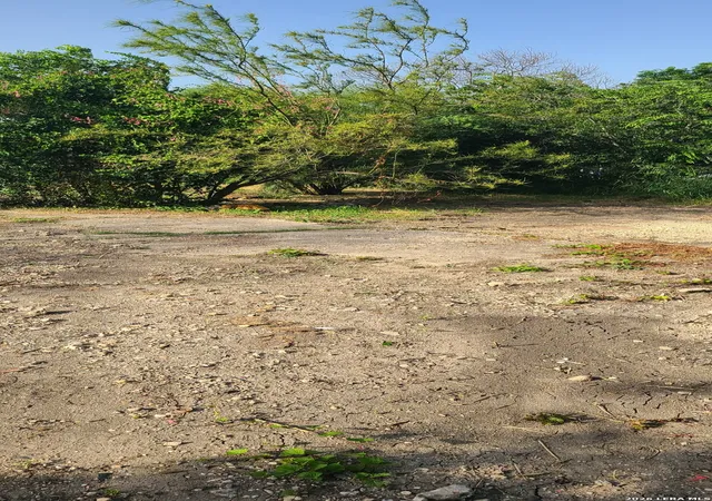 Photo 3 of Land for sale at 2219 W Martin St, San Antonio, TX 78207 | MLS# 1999072 | Listing updated on 2026-07-20