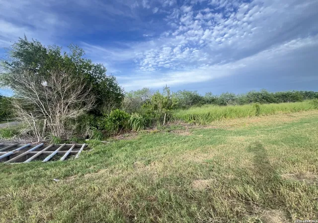 Homes for sale in Skidmore, TX | 620 Cr, Skidmore, TX 78389 | MLS# 1999249