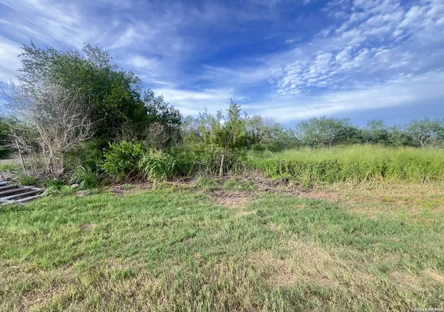 Homes for sale in Skidmore, TX | 620 Cr, Skidmore, TX 78389 | MLS# 1999249